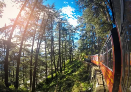 Shimla train