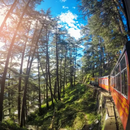 Shimla train