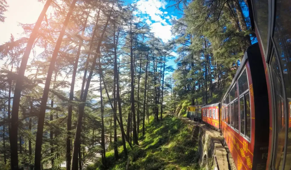 Shimla train